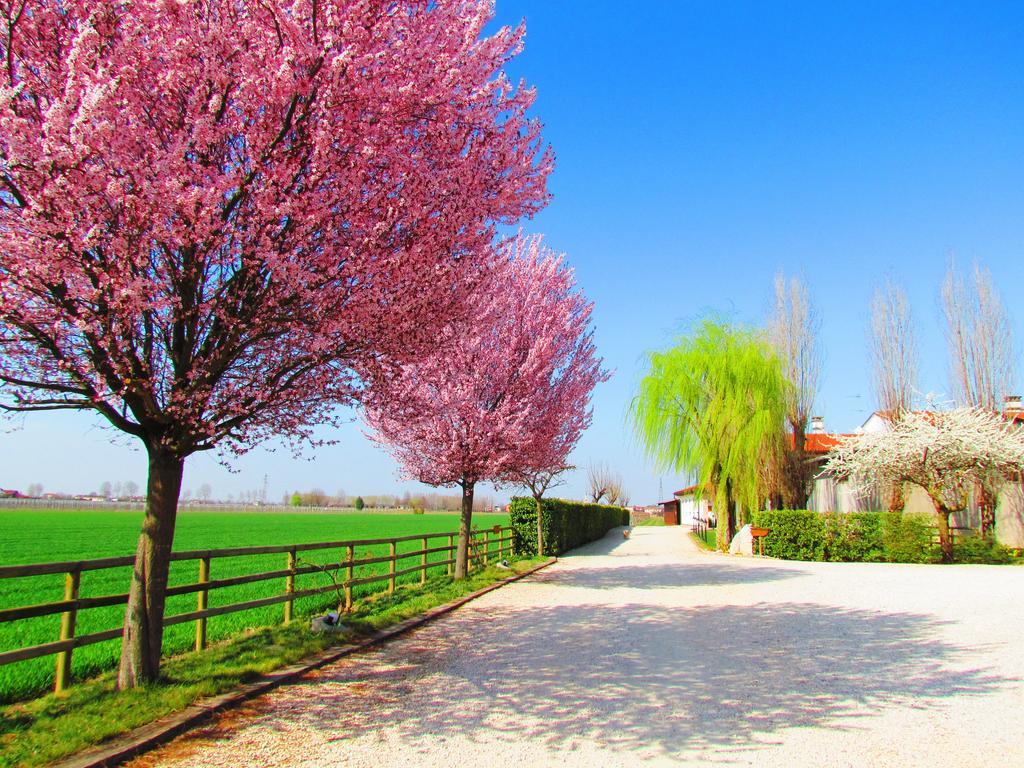 Villa Agriturismo Le Cipressine Meolo Exterior foto